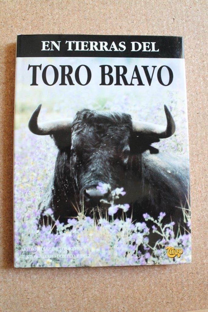 En tierras del toro bravo.