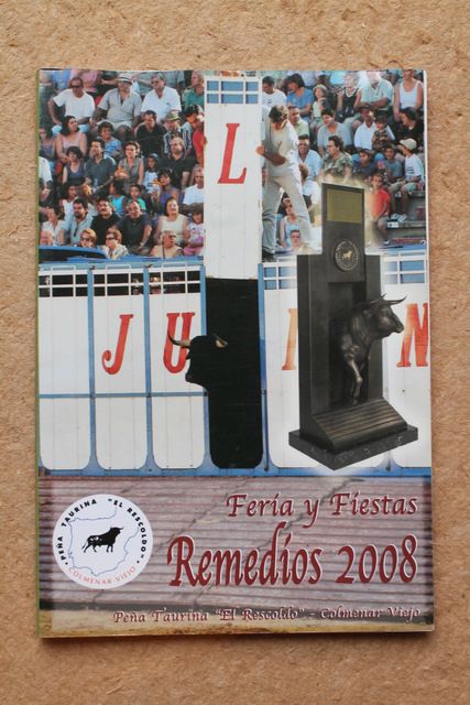 Ferias y Fiestas Remedios 2008.