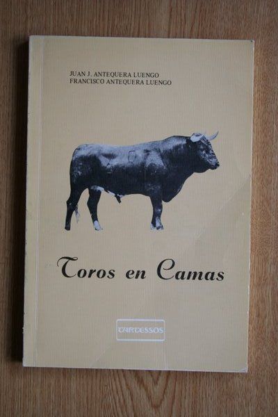 Toros en Camas.