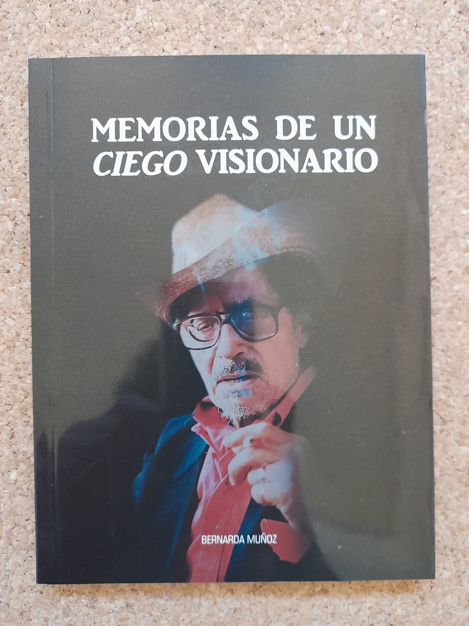 Memorias de un Ciego visionario.