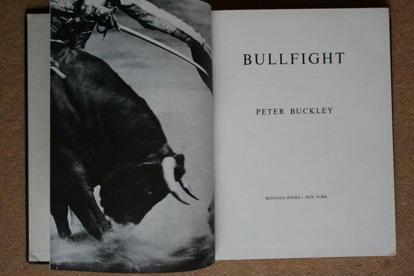 Bullfight.