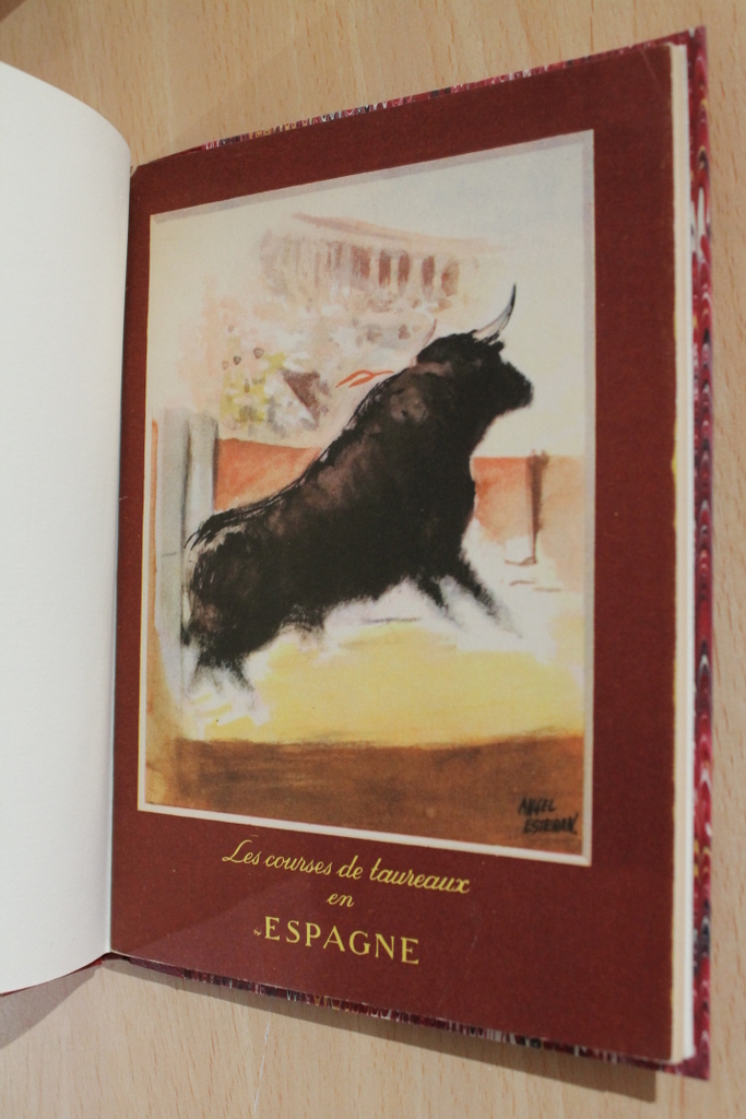 Les courses de taureaux en Espagne.