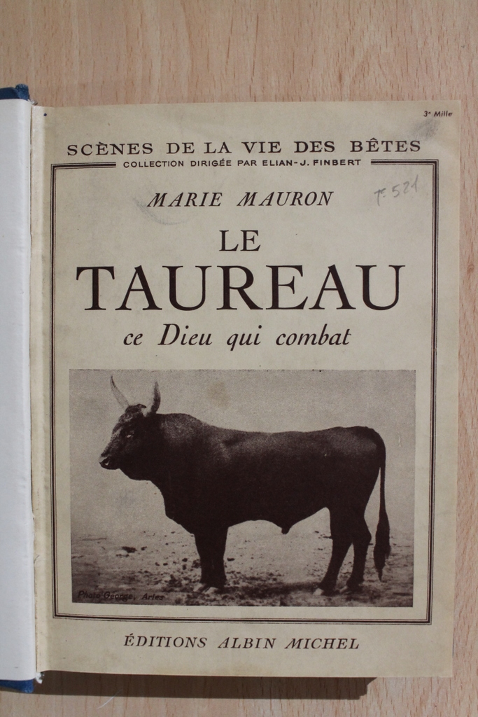 Le taureau, ce Dieu qui combat.