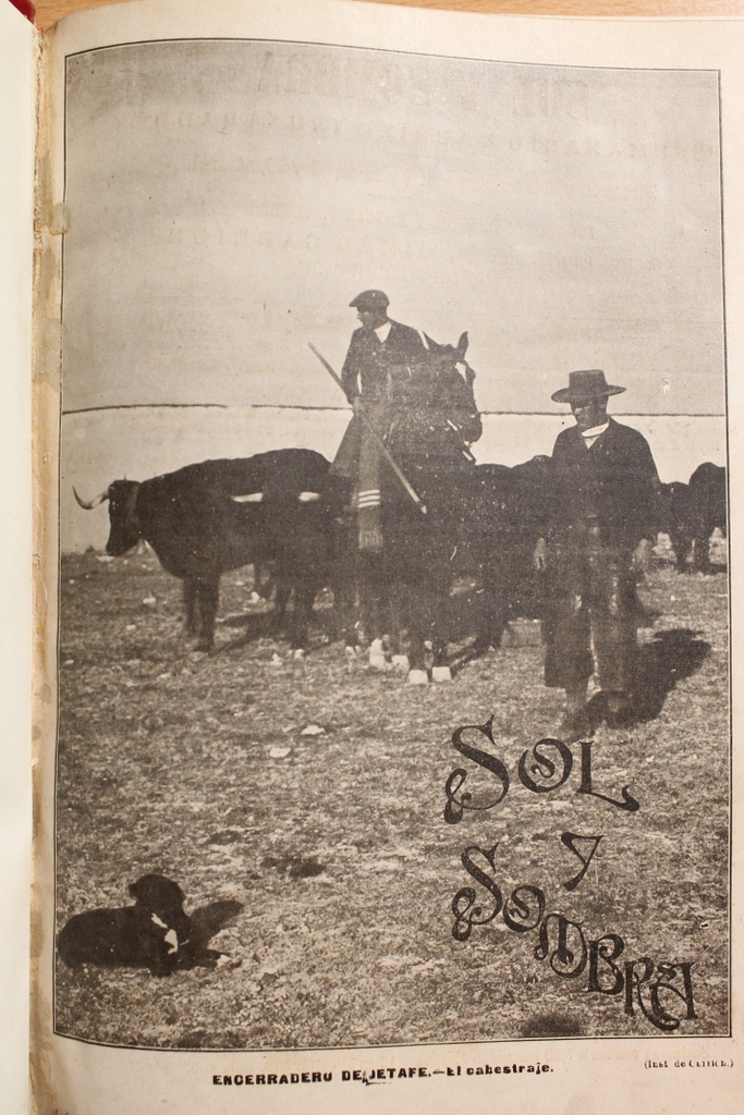 Sol y Sombra. Año 1906. Año completo.