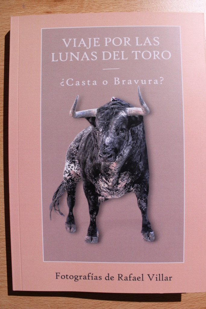 Viaje por las lunas del toro 2024. ¿Casta o bravura?
