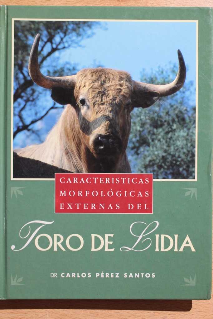 Características morfológicas externas del toro de lidia.