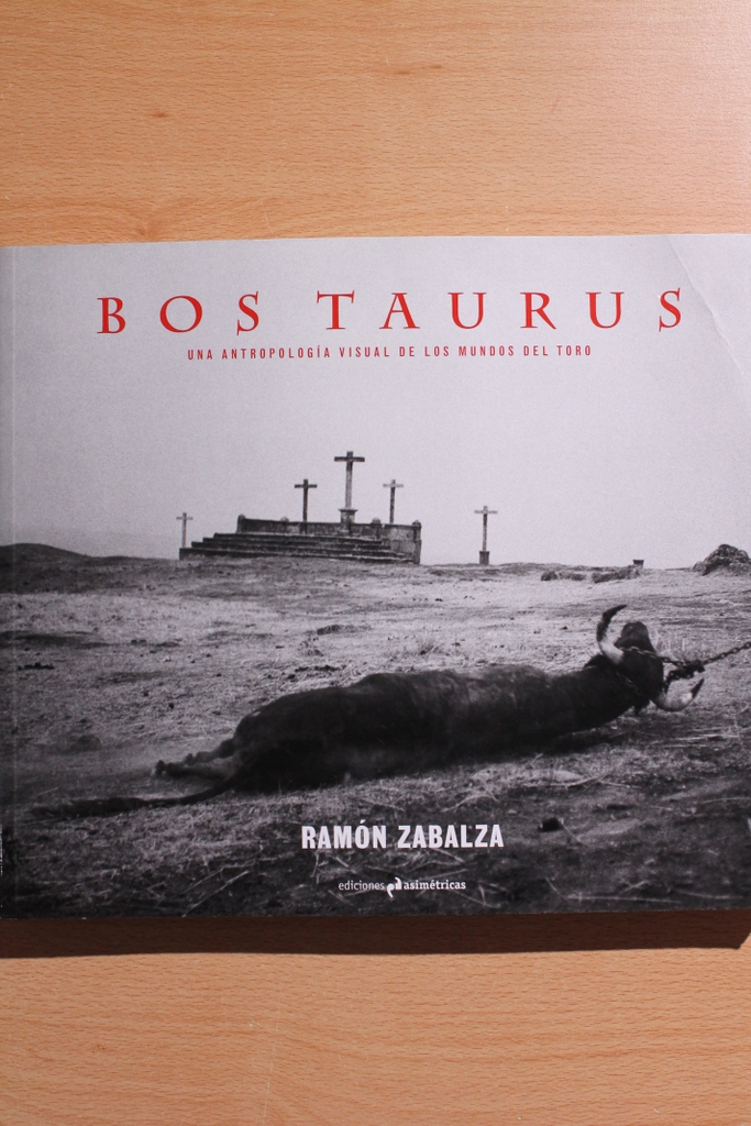 Bos taurus. Una antropología visual de los mundos del toros.