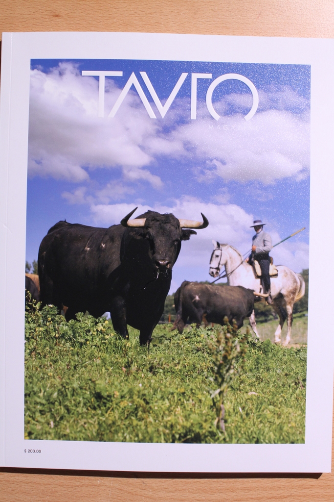 Tauro Magazine. Arte y Cultura. Año 4. Nº 14. Invierno 2023.