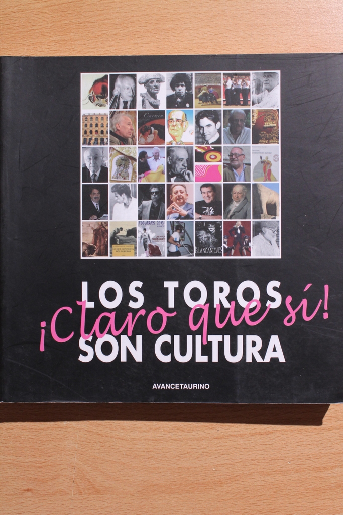 Los toros ¡claro que sí! son cultura.