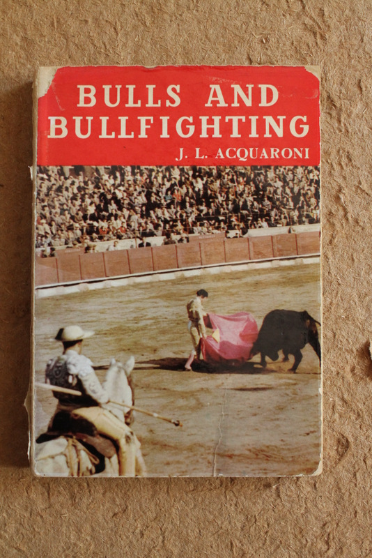 Bulls and Bullfighting.